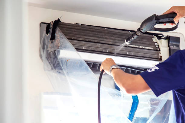 Air Duct Mold Removal in Metter, GA