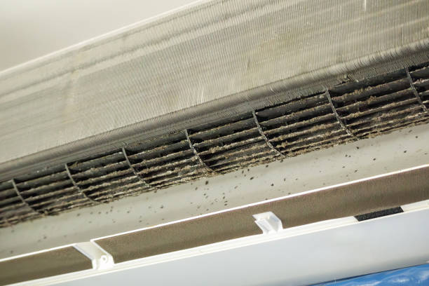 Best Air Duct Cleaning Near Me in Metter, GA